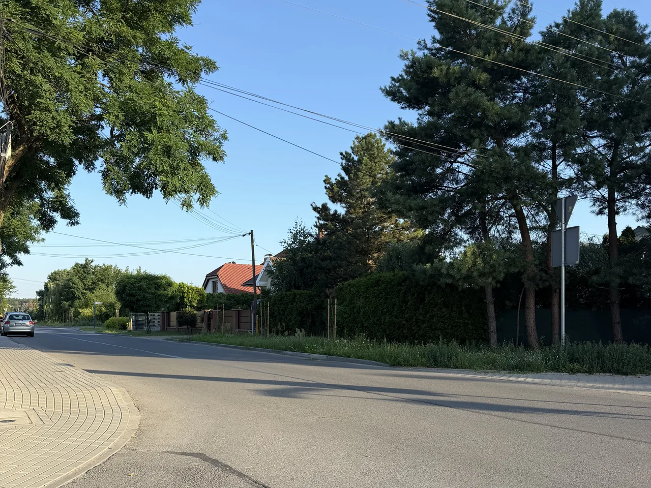Sosny przy zabudowie jednorodzinnej w gminie Białe Błota